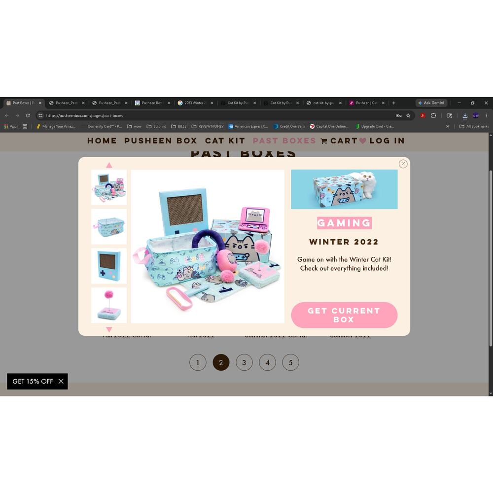 Winter 2022  Cat Kit Pusheen box GAMING